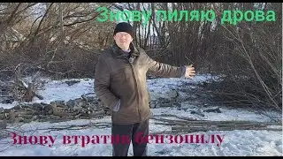 Живу в селі. Розчищаю дворище...