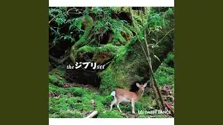 となりのトトロ: となりのトトロ