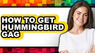 How to Get Hummingbird Gag - Full Guide