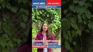 Accountant staff wanted