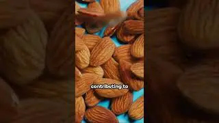 Nuts and seeds that support blood circulation