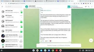Latest news on Little Rabbit V2