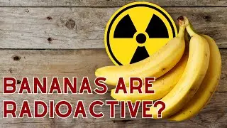 Bananas Are Radioactive? The Shocking Truth About Bananas and Radiation!
