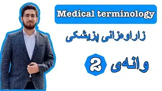 2. Medical terminology | number, colour, time, location