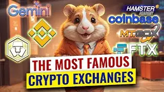 Top 6 famous crypto exchanges changed the world of crypto ⚡️ Hamster Academy