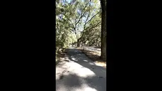 A Peddler's Paradise: Exploring Hilton Head Island's Scenic Bike Paths