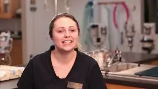 Veterinary Technician