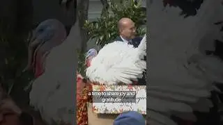 President Biden pardons turkeys &ldquo;Liberty&rdquo; and &ldquo;Bell&rdquo; #politics