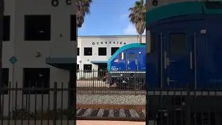 C642 departs Oceanside with new SC44 5007 on point! #sc44 #nctd #oside #trains #railfanning
