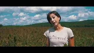Hemp Oil 101