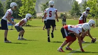 Union Academy Cardinals: 2017 Season Preview