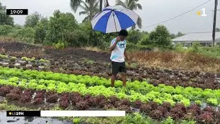 Les fortes pluies ont été bénéfiques pour les nappes phréatiques et les cultures