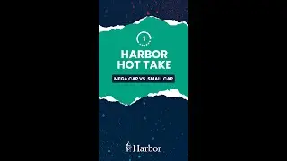 Will Muggia on Mega Cap Tech vs Small Cap