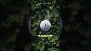 Did Aliens Send Us This Message?