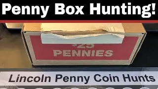 Penny Box Hunt - We Found More Wheaties!