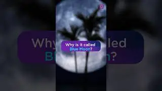 Once in a Blue Moon | BYJU'S Now We Know #shorts #bluemoon