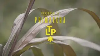 LA TEJA PRIDE &mdash; Primavera @latejapride