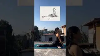 Yoga inspired by animals 🧘&zwj;♀️#yoga #yogapractice #yogainspiration #shorts #shortsfeed #youtube