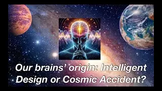 Why Supernatural Design Better Explains the Wondrous Complexity of the Brain.
