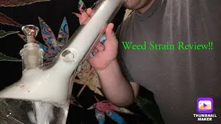 Strain Review: Mer Fumee!! (True Grit)