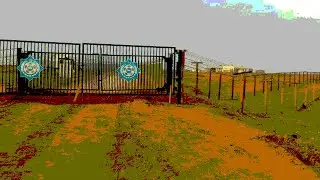 Туркменистан: В Гарабогазе главврач больницы наладила контрабанду сигарет, но наказания избежала