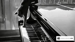 Untitled Song 53  Without a Sound