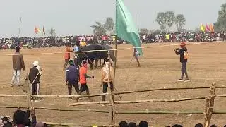 gajar hansdak vs som hasdak dhanyamara school tola