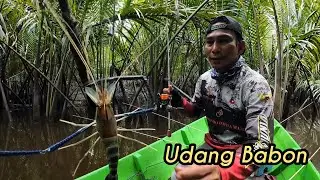 Mancing di Sungai ini selalu ada kejutannya tanpa diduga-duga