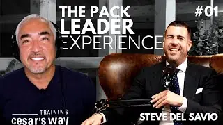 The Pack Leader Experience -#01 Cesar Millan Trailer