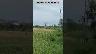 Natural beauty of my village bhalakhar || #shortvideo #bhalakhar #pothwar