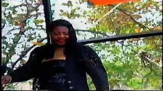 1995 King Biscuit Blues Festival 2 - Lynn White