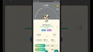 I caught 2 shinies in one day (Pokemon GO)