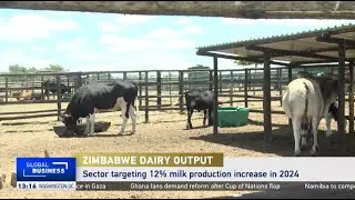 Zimbabwe&rsquo;s dairy sector targeting milk production increase in 2024