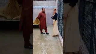 Mufasa ka bhi apna swag ha 😎 (mian saqib)