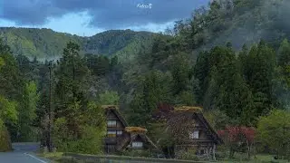 Oke work that imaged the Ghibli-like forest