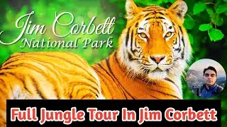 Jim Corbett National Park | Complete Jungle Tour Guide | A Documentary on Jim Corbett National Park