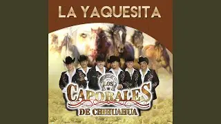 La Yaquesita