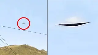 Weird And Unbelievable Things Are Happening Around The World