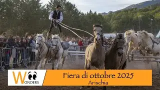 Fiera di ottobre 2025
