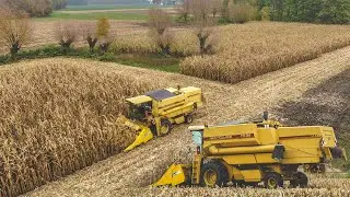 Zbi&oacute;r Kukurydzy na Ziarno 2020!🌽 - New Holland TX34