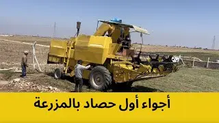 عملية الحصاد و جمع التبن