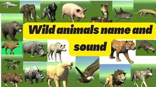 Wild animals name| learn name of wild animals | wild animals name in English