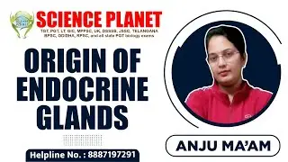 Unveiling the Origin of Endocrine Glands by Anju Mam on Science Planet! #EndocrineGlands