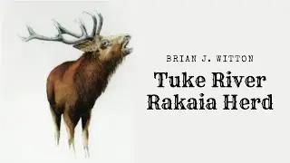 The Rakaia Herd Brian J  Witton; Tuke River; Mikonui River Catchment 1965
