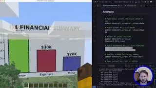 Minecraft + Python + Accounting: innovative new way to present financial data!