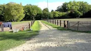 REMS | Centre Equestre de Reims