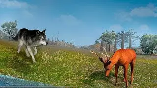 Scary Wolf : Online Multiplayer Game Gameplay