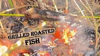 Straw-grilled snakehead fish – A rustic dish you’ll never forget #SlowMeals