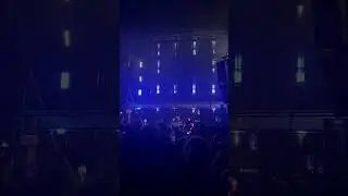 Signal 2024. Никола-Ленивец. Механический пес/Дельфин. We gonna get it