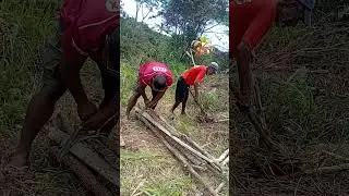 Village Life style 